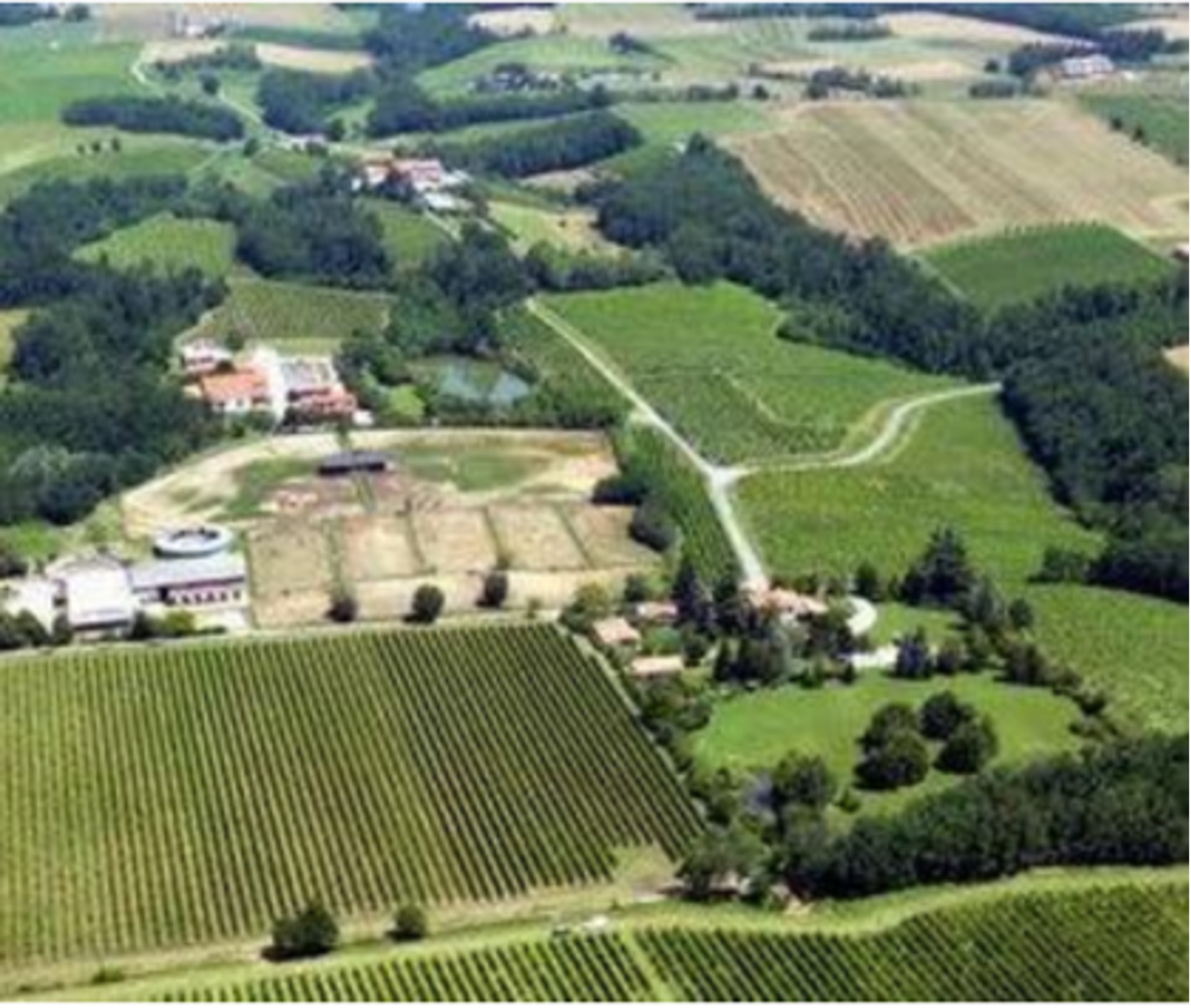 Oltrepo Vineyards - Lombardia