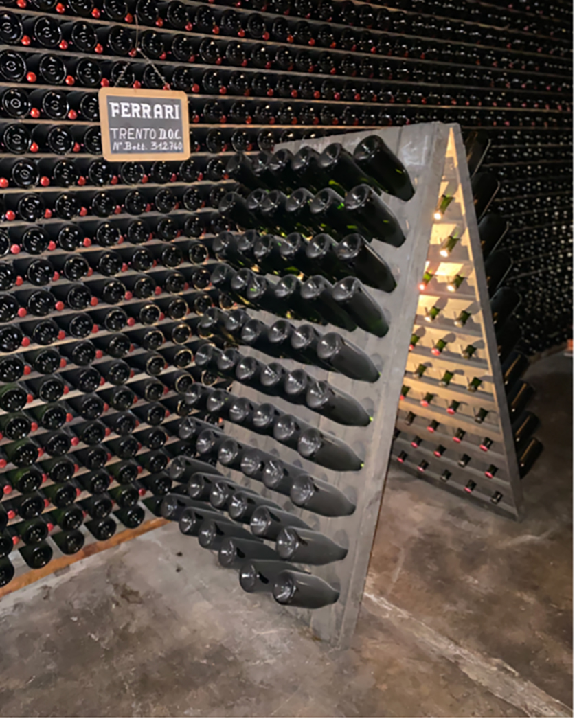 Ferrari Vineyard cellars