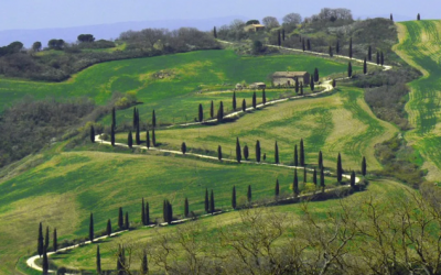 Iconic cypress lined road from La Foce 400x250 - Blog