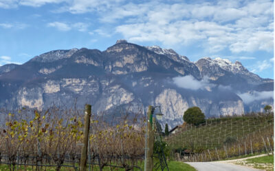 Trentino Alto Adige 3 400x250 - Blog