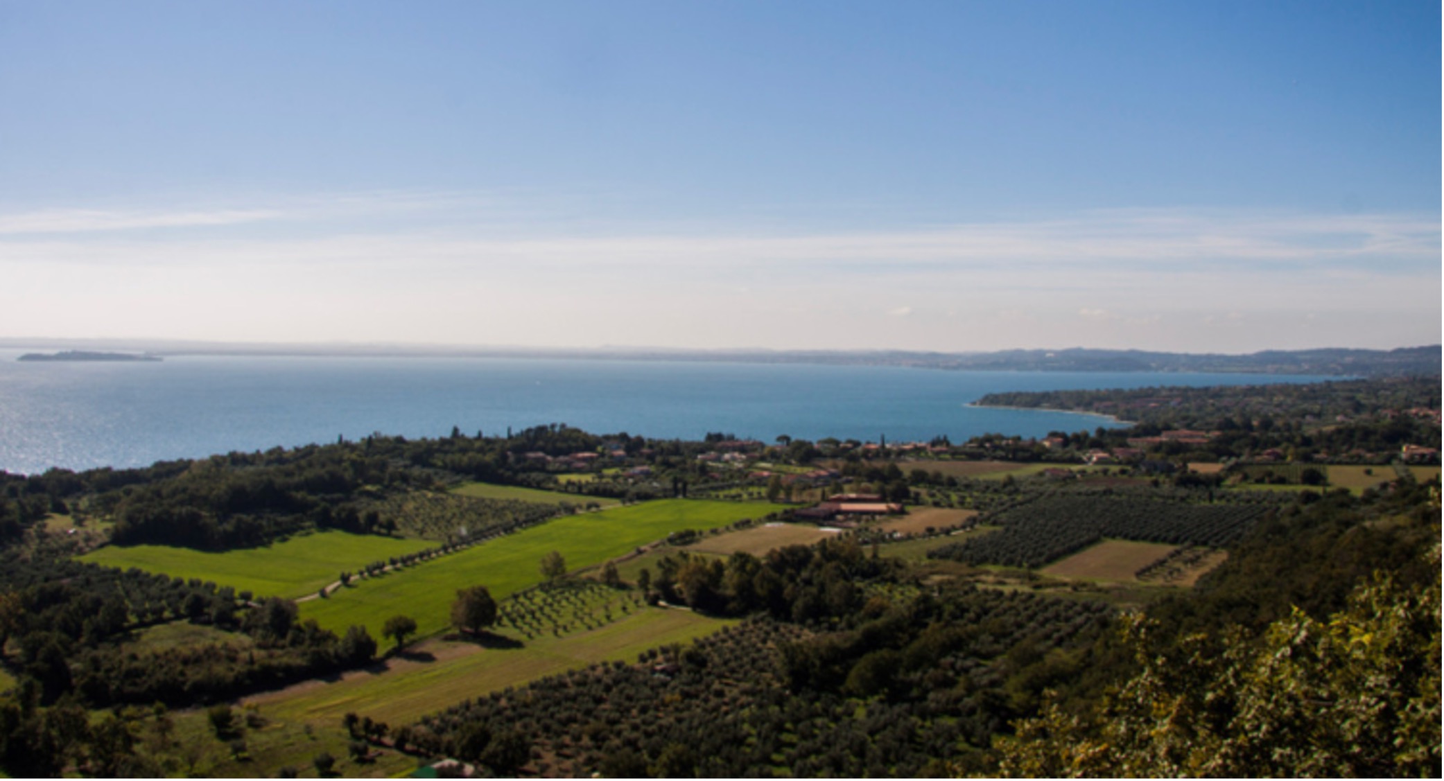 Valtenesi vineyards on Lago di Garda - Lombardia